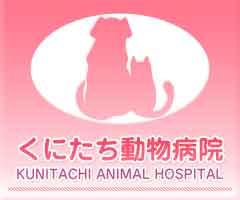 ɂa@
KUNITACHI ANIMAL HOSPITAL